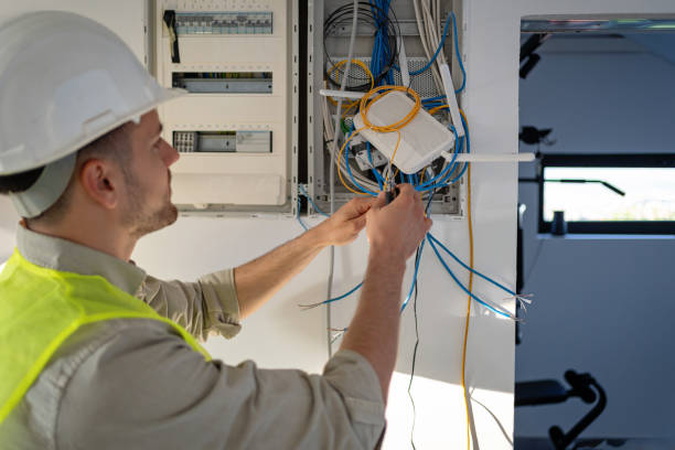 Best Electric Panel Repair  in Kahoka, MO